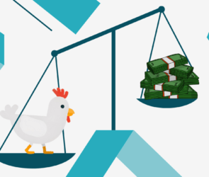 Worldwide Chicken Prices increases rapidly