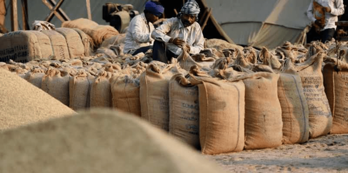 India’s wheat export ban brings worries of global food insecurity