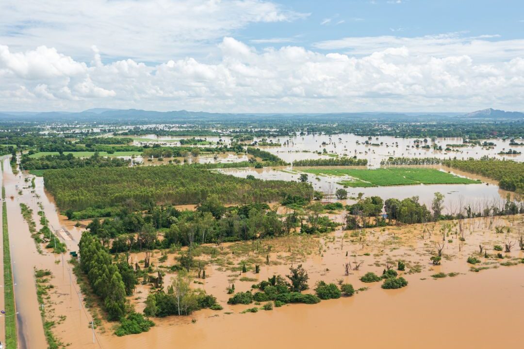 Pakistan faces impending food crisis from extreme flood