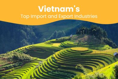Vietnam Top Import and Export industries